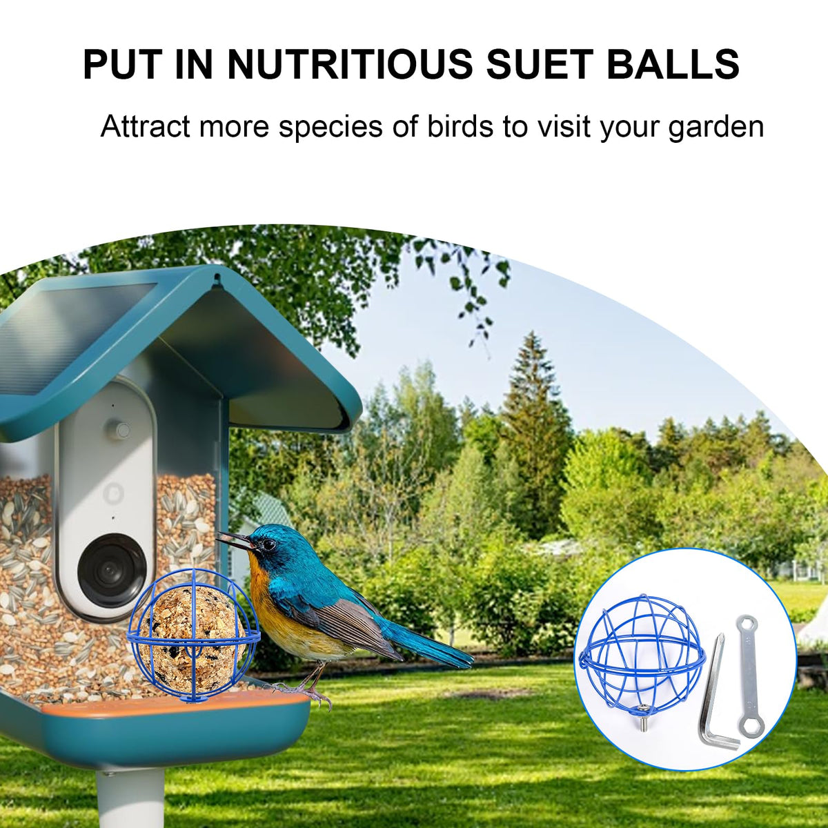 popolov durable metal outdoor suet holder withstands weather and wear