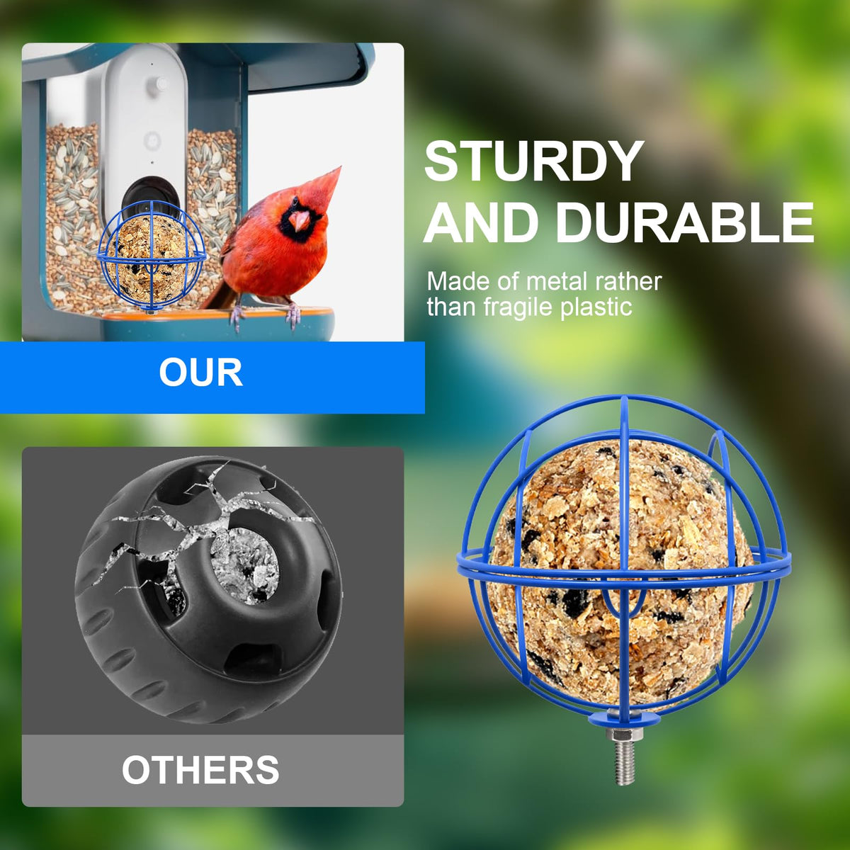 popolov squirrel-proof suet holder blue keeps feeding area safe from rodents