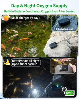 POPOSOAP separated solar panel design keeps wiring away from water for safety.