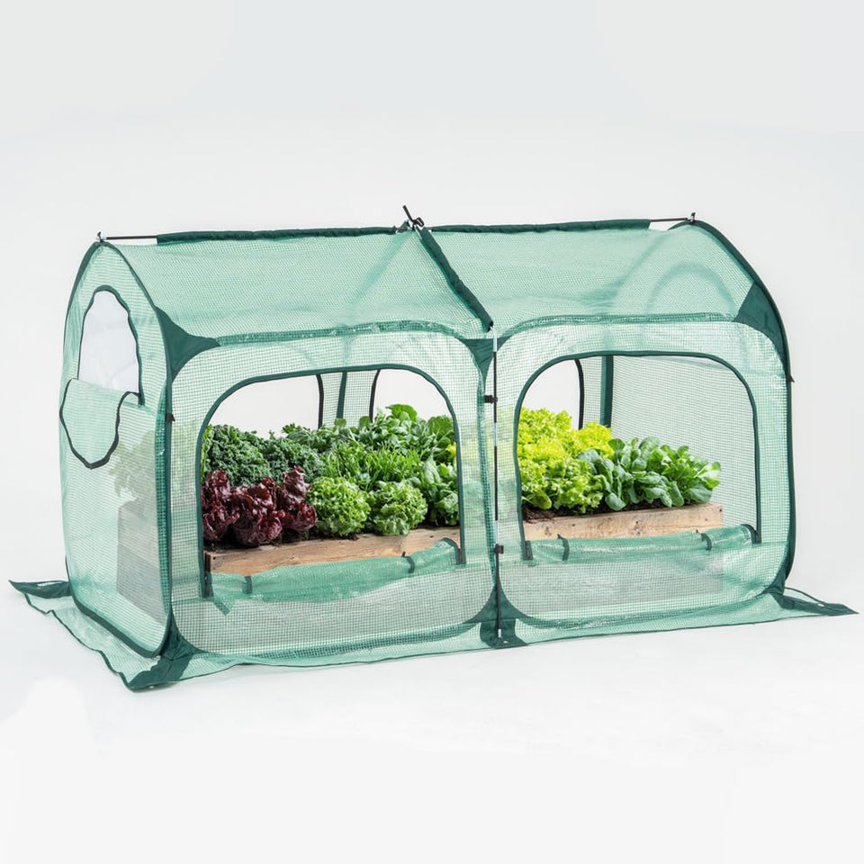 Porayhut pop up greenhouse front view shows spacious growth space for large plants in all seasons.
