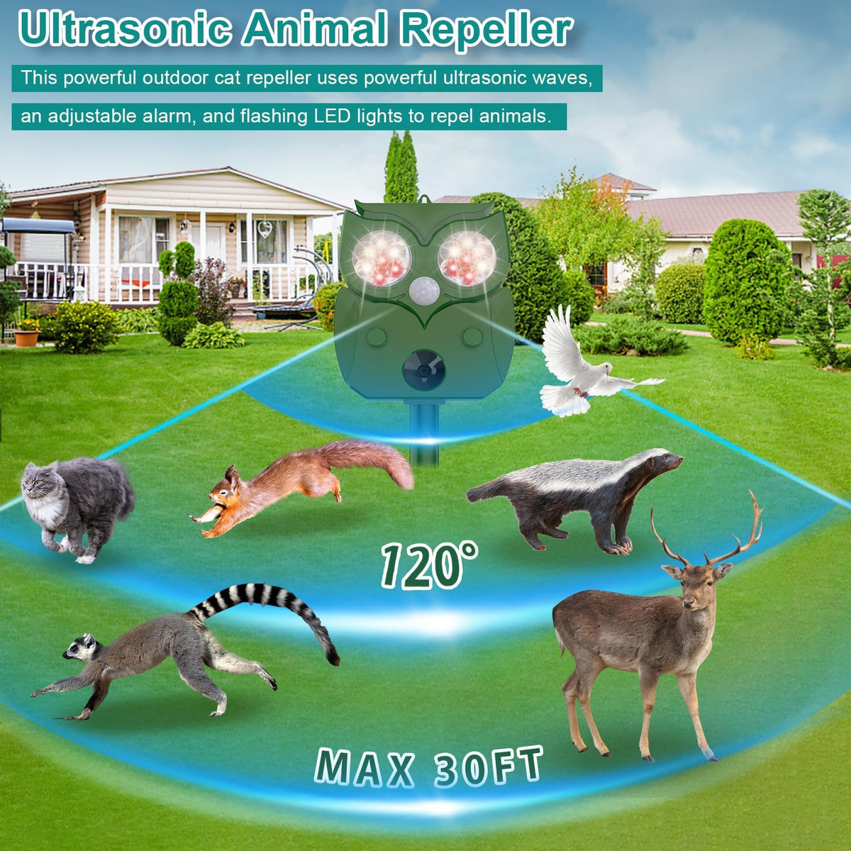 Porfisei eco-friendly deterrence protects property without chemicals