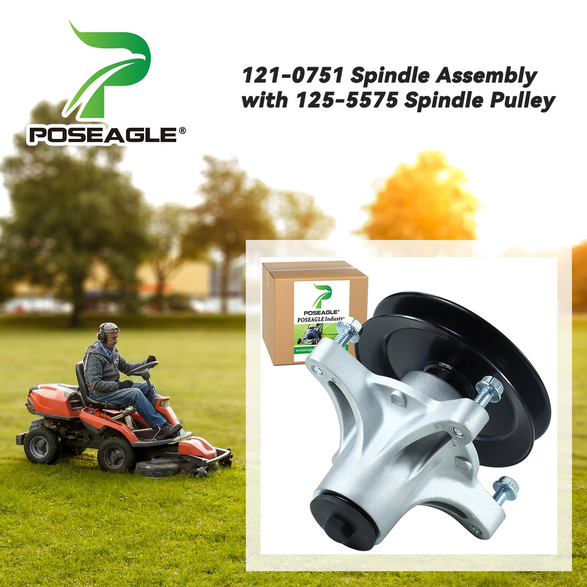 POSEAGLE 125-5575 pulley for smooth belt operation and reliable performance.