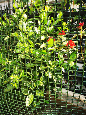 PotatoLife animal barrier deters deer and small wildlife from garden areas.