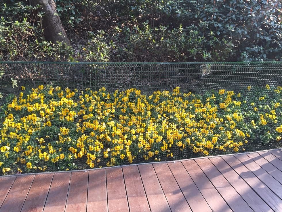 PotatoLife deck railing net offers lightweight, easy setup and reuse.