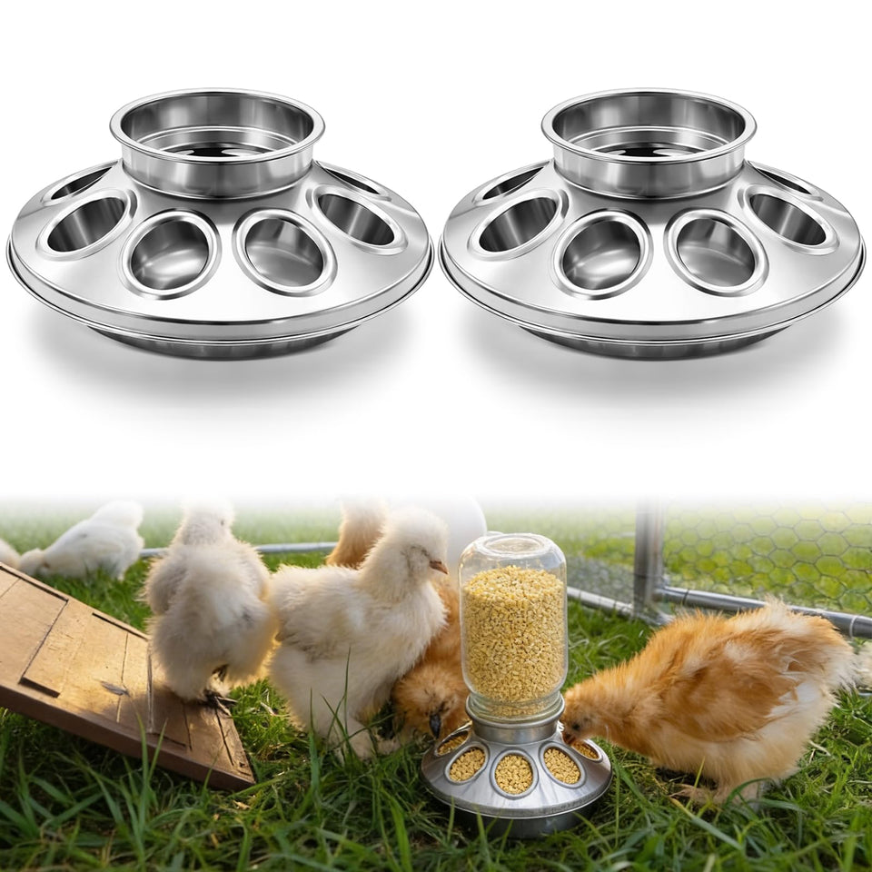 Potchen dual feeder base with eight holes for efficient chick feeding