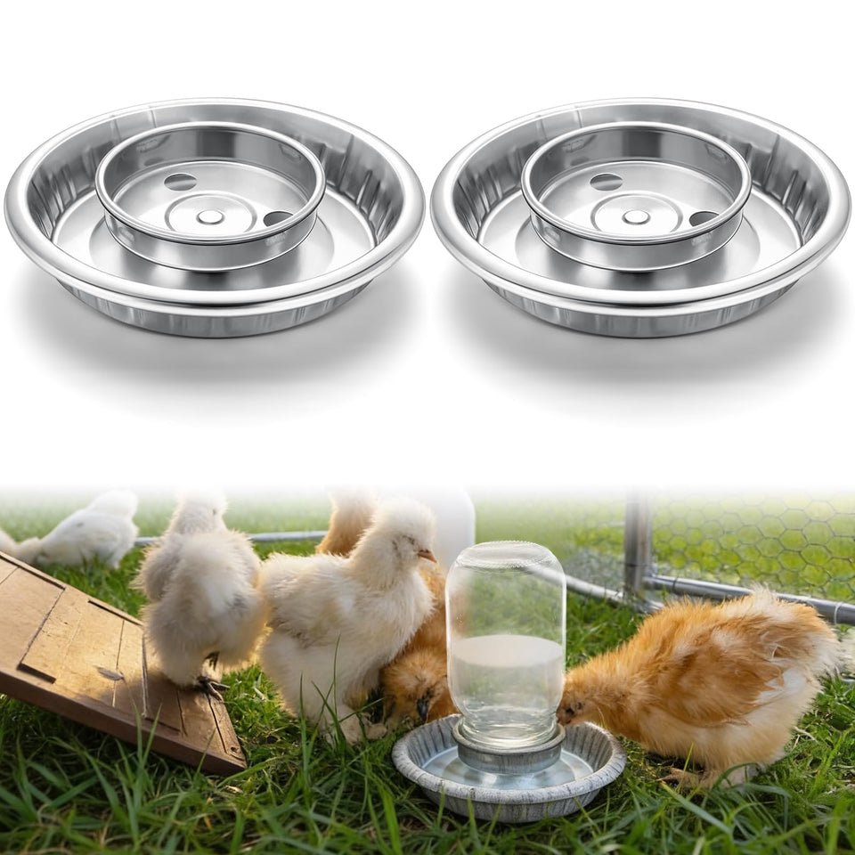 Potchen dual waterer bases for chick feeders offer flexible watering options for growing chicks.