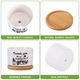 Potchen natural soil-ventilated pots support healthy plant growth and easy care.