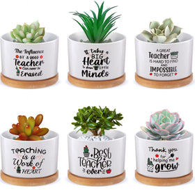 Potchen six-piece teacher appreciation pots for desk decor and gifting.