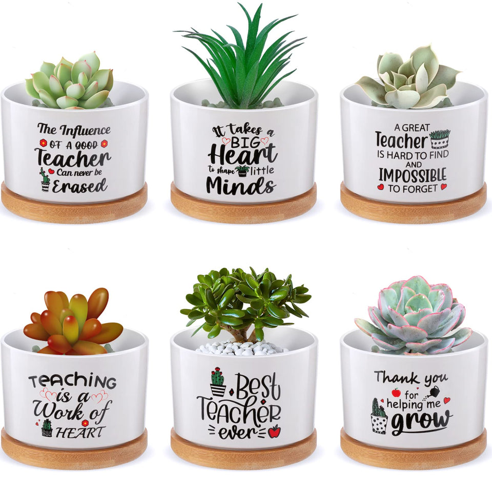 Potchen six-piece teacher appreciation pots for desk decor and gifting.