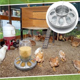Potchen standard 1-quart feeder compatibility supports flexible use