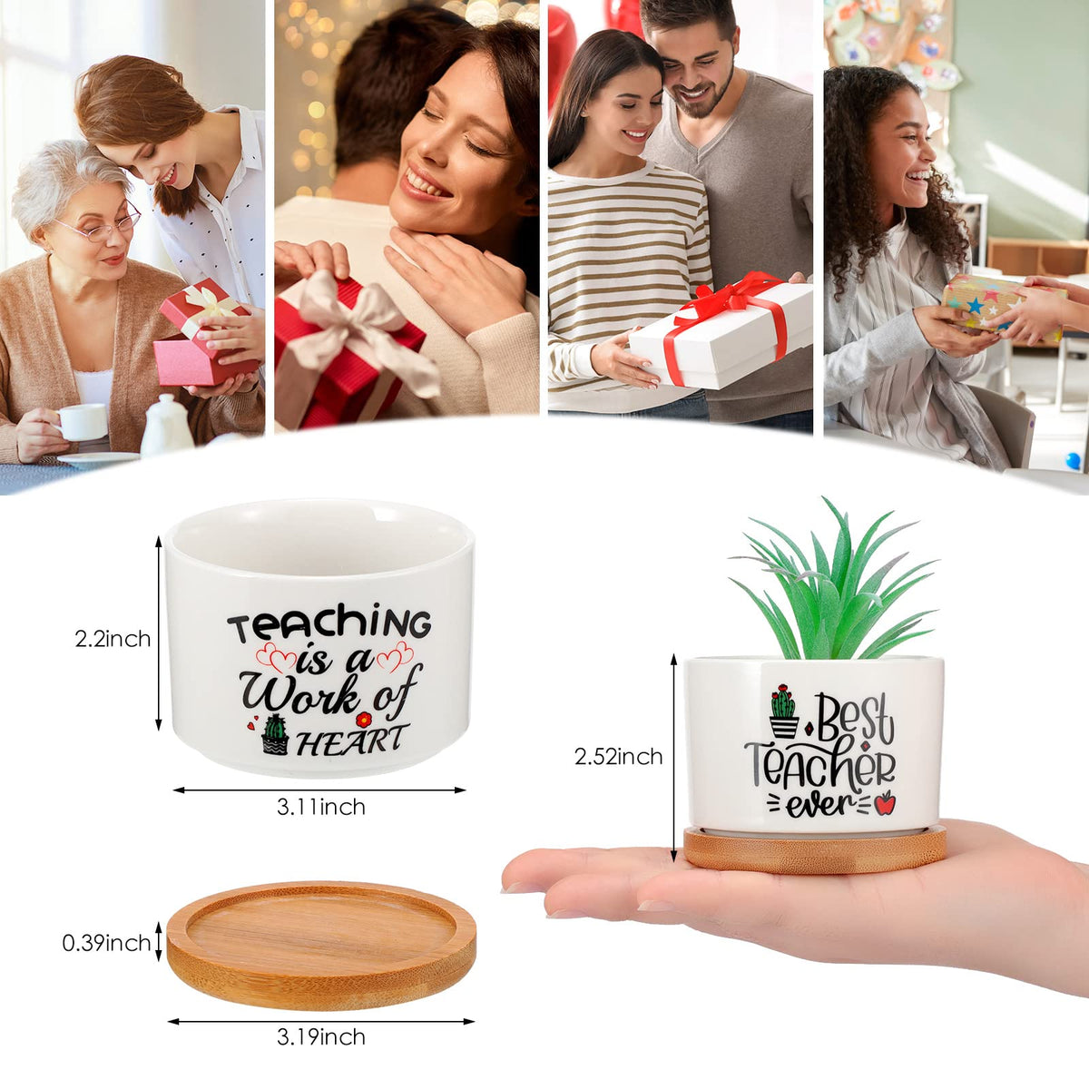 Potchen succulent pots with bamboo trays ideal for home or office greenery.