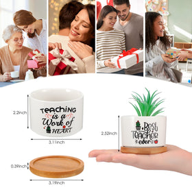 Potchen succulent pots with bamboo trays ideal for home or office greenery.