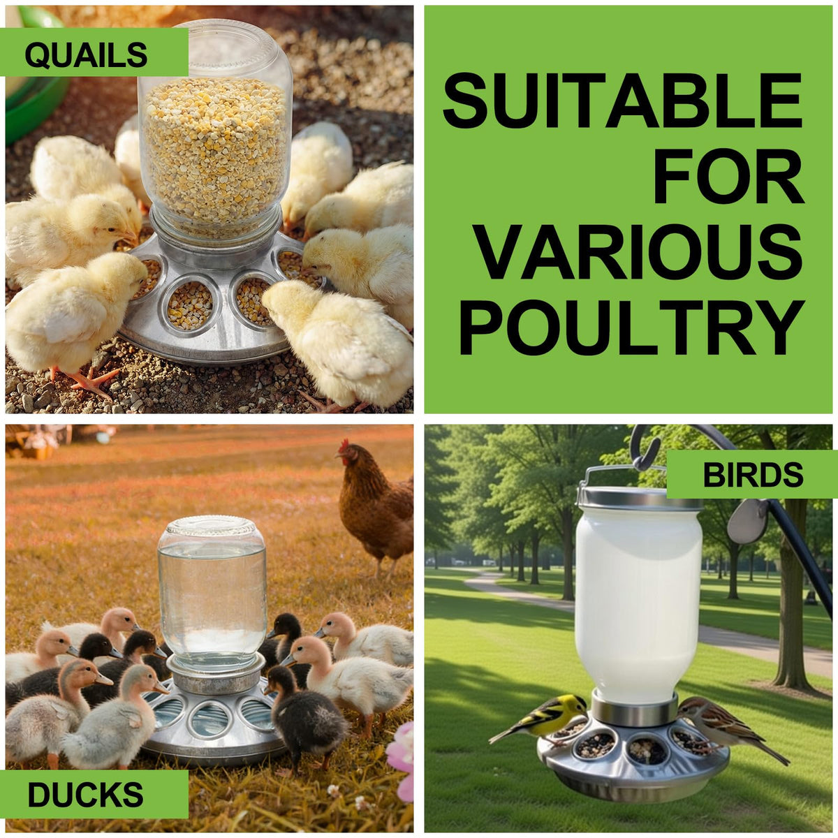 Potchen versatile feeder bases for home, farm, and classroom settings