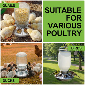 Potchen versatile feeder bases for home, farm, and classroom settings