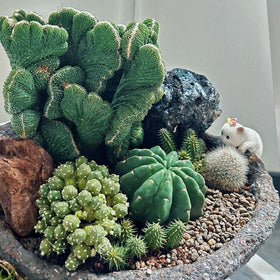 Poteital cat figurine for fairy gardens creates storytelling moments