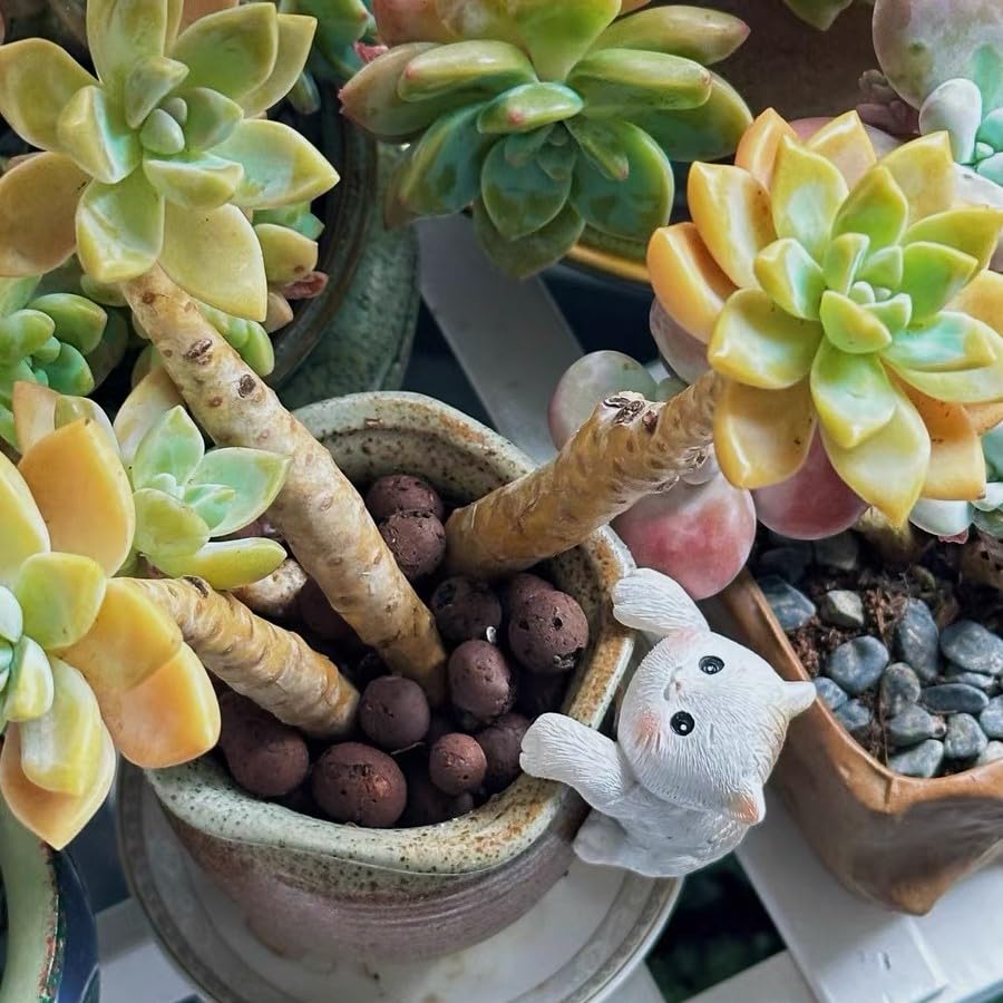Poteital cream cat statue with four shapes inspires versatile displays