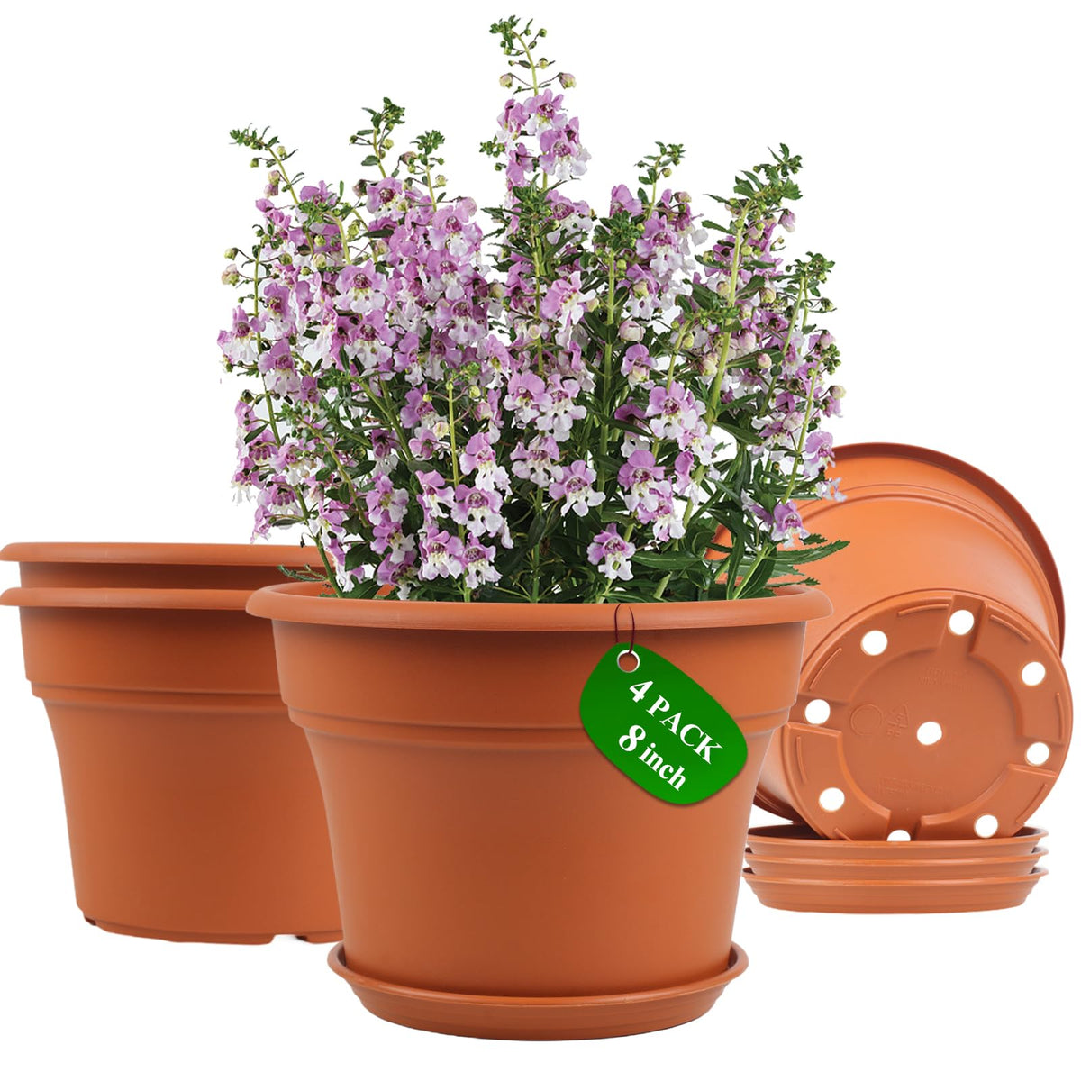 Pottiffe 8-inch white plastic pot ready for indoor or outdoor planting with durable plastic.