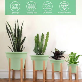 Pottiffe planter available in white, green, and terracotta color options for versatile decor.