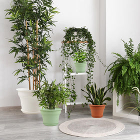 Pottiffe green plastic pot complements greenery with a modern look.