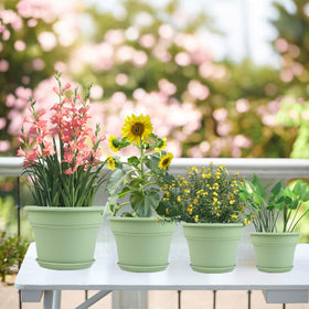 Pottiffe planter with drainage holes and saucers to control watering.