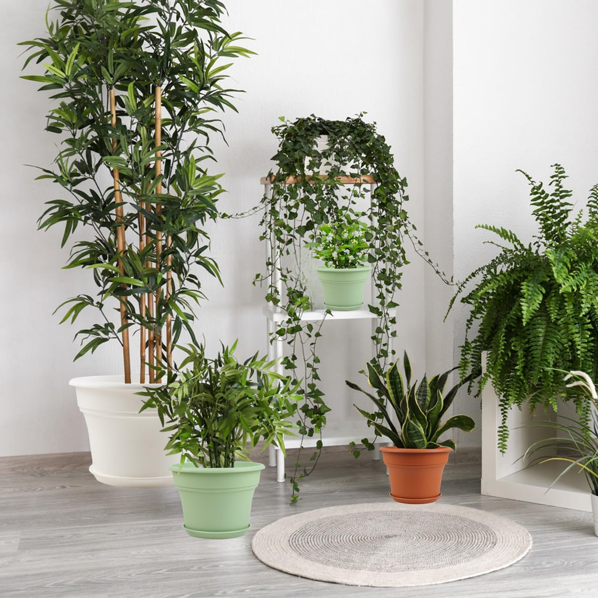Pottiffe pot with saucer helps prevent spills and soil runoff.
