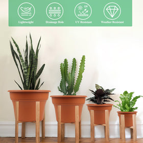 Pottiffe rolled-rim pot provides an easy grip for moving indoors or outdoors.