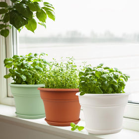 Pottiffe 4-pack variety sizes for different indoor and outdoor plants.