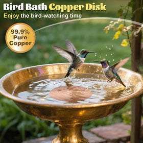 POUMEE all-season copper disk works with heaters and fountains