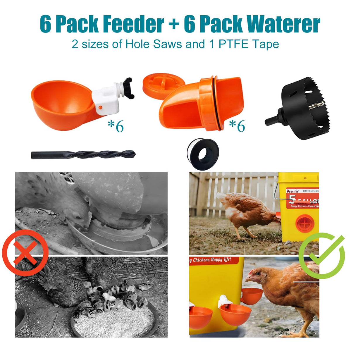 Poutilor water cups provide steady fresh water for the flock