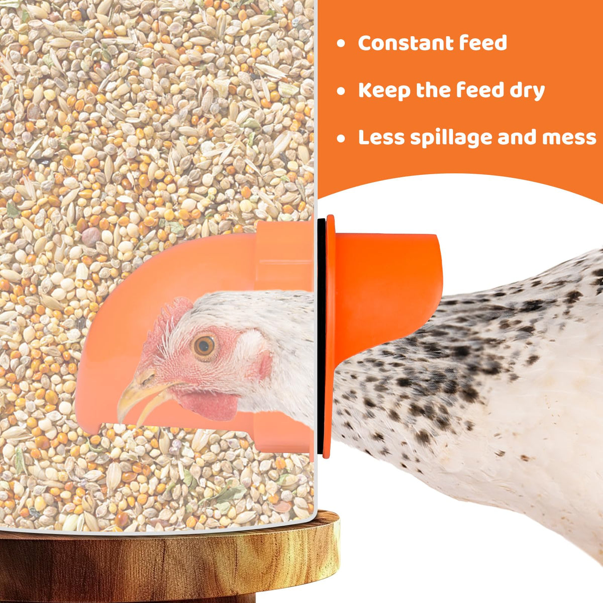 Poutilor sealed lid design shields feed from rain and pests