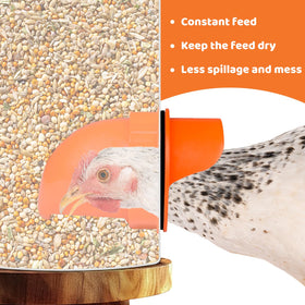 Poutilor sealed lid design shields feed from rain and pests