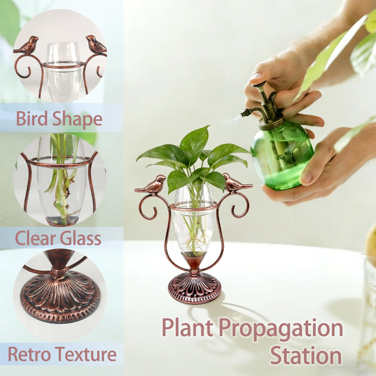 POXOHO desk greenery propagation station adds sustainable charm to workspaces.