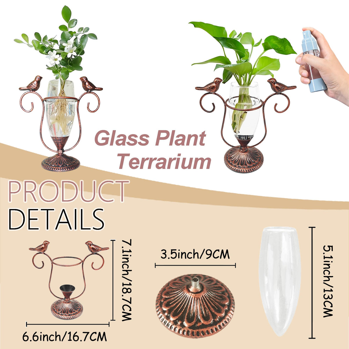 POXOHO plant propagation tube in clear glass helps watch roots thrive.