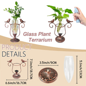 POXOHO plant propagation tube in clear glass helps watch roots thrive.