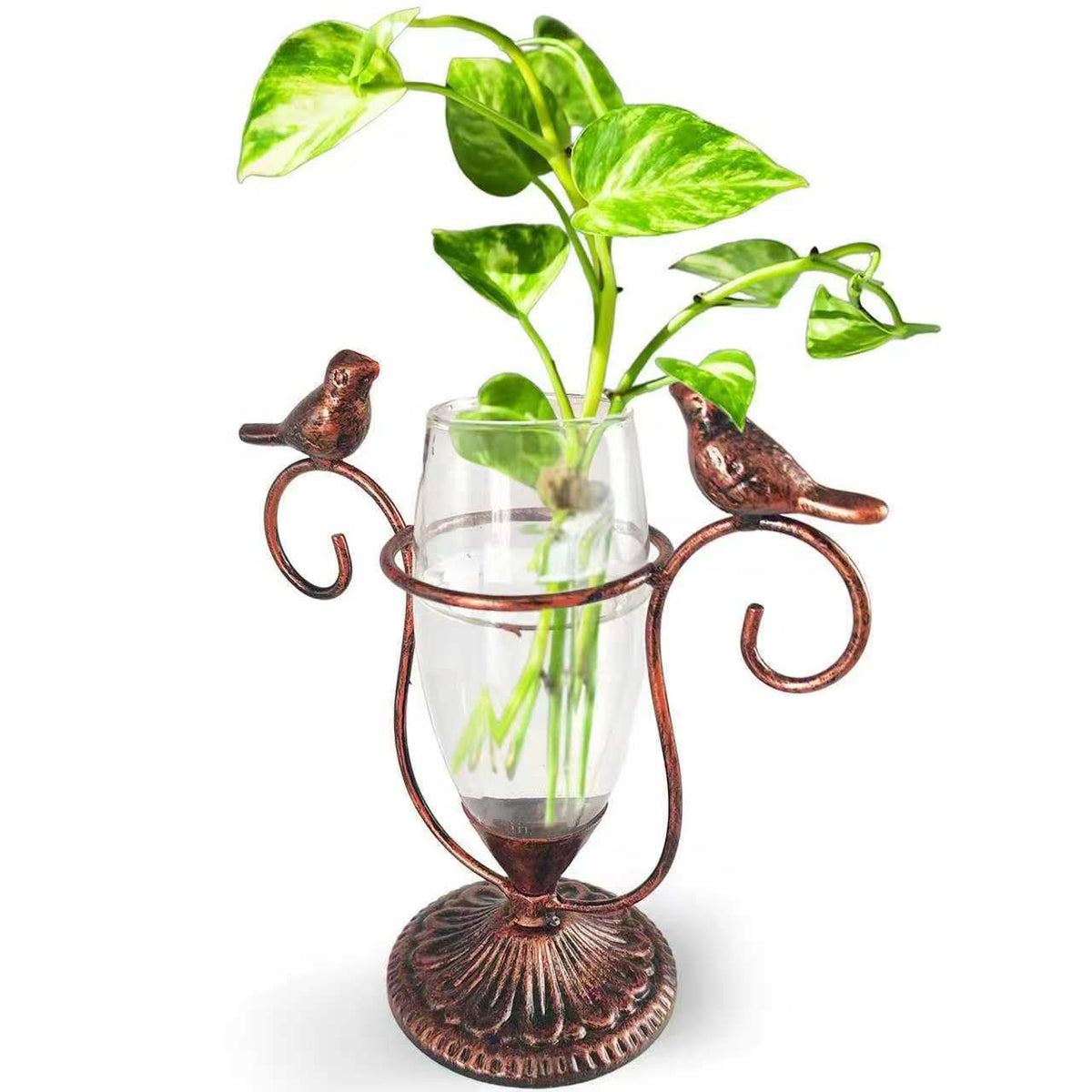 POXOHO vintage glass propagation station with copper bird for desk plant growth observation.