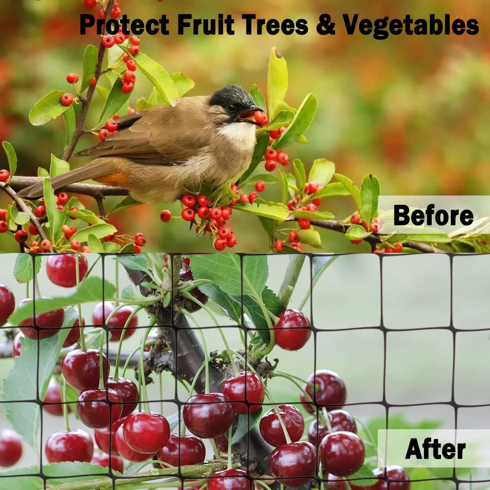 POYEE strawberry netting covers plants to guard berries from birds.