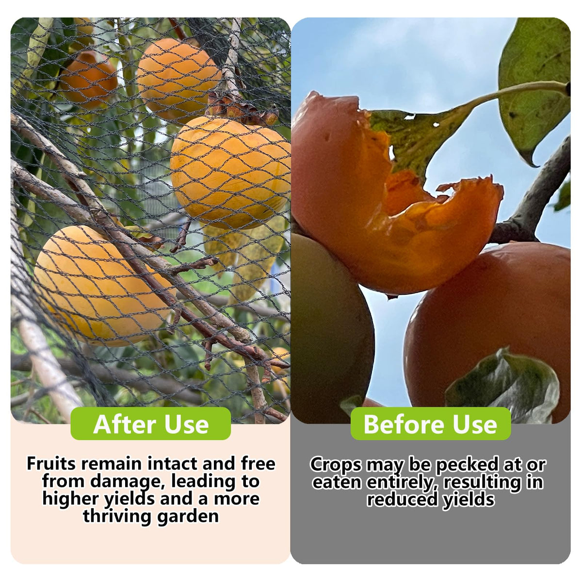 POYEE versatile plant netting suitable for deer fencing and fruit trees