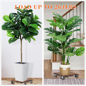 PRAQECZ 12in plant dolly with wheels eases indoor rearrangement of pots.