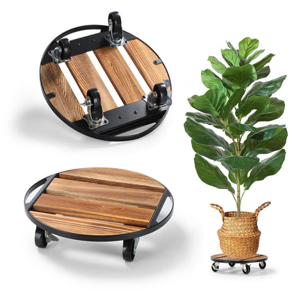 PRAQECZ 12-inch rolling plant caddy in use, enabling easy relocation of heavy pots.