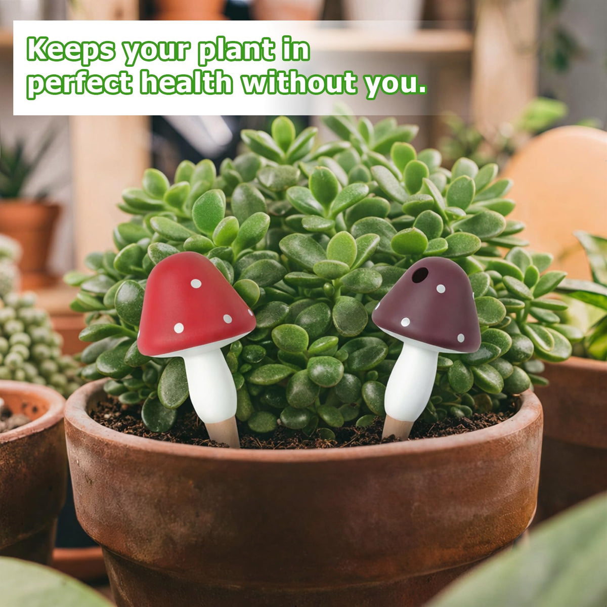 Prashent eight-pack plant watering globes simplifying plant care