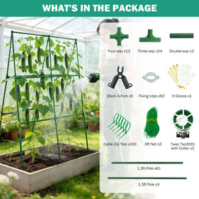 Prashent outdoor garden trellis supports climbing vines in beds.