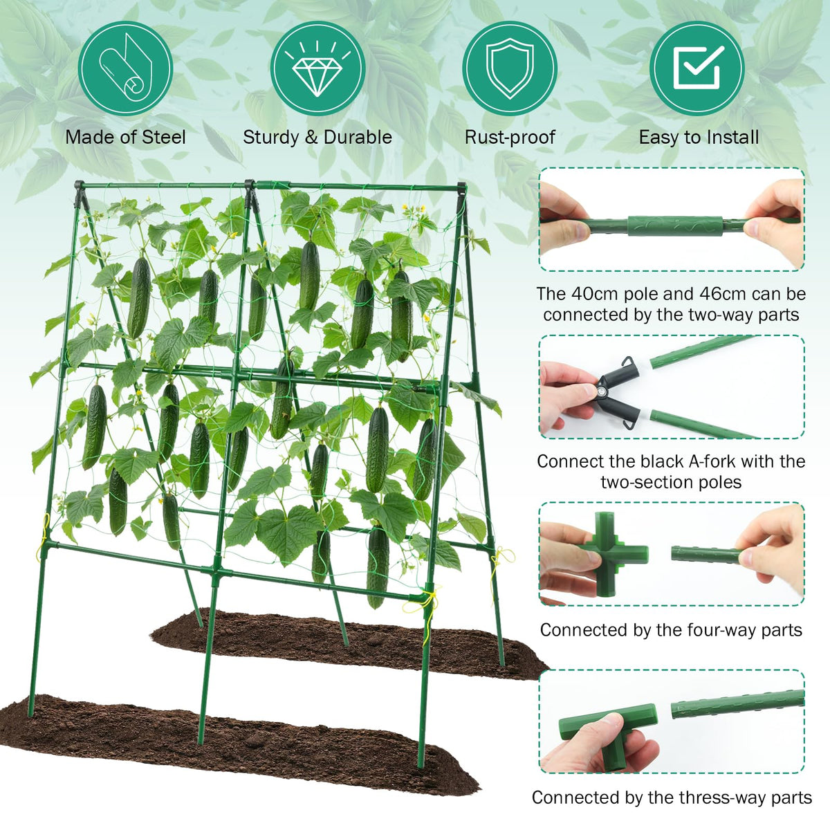 Prashent steel-tube trellis with rust-resistant coating for outdoor use.