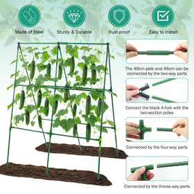 Prashent steel-tube trellis with rust-resistant coating for outdoor use.