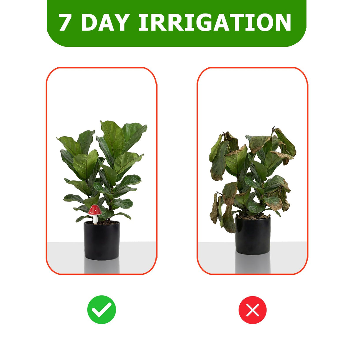 Prashent vacation-friendly watering spikes for away-from-home care