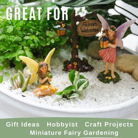 PRETMANNS Fairy holding lantern creates a cozy outdoor vignette.