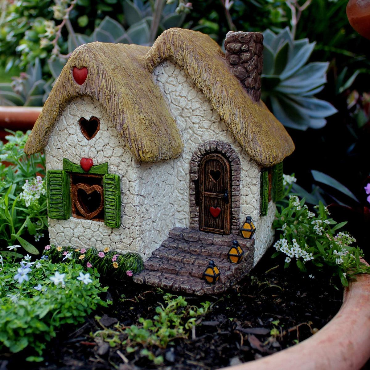 Pretmanns fairy garden flowers decor brings vibrant blossoms to miniature scenes