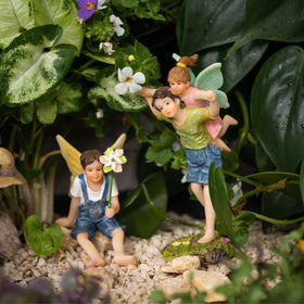 Pretmanns fairy village set elevates any miniature garden display.