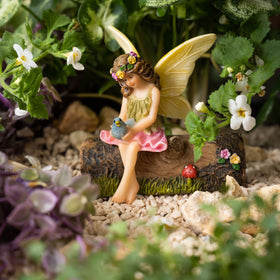 PRETMANNS indoor-outdoor kit suits beginners and fairy enthusiasts.