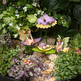 PRETMANNS vibrant decorations become focal points in fairy displays.