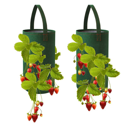 Pri Gardens hanging strawberry planter with bare-root setup and 11 holes for efficient planting.
